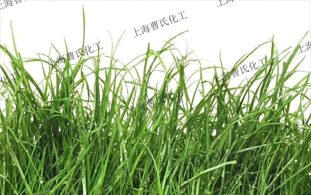 ！香精香料的香型分类麻将胡了试玩干货分享(图5)