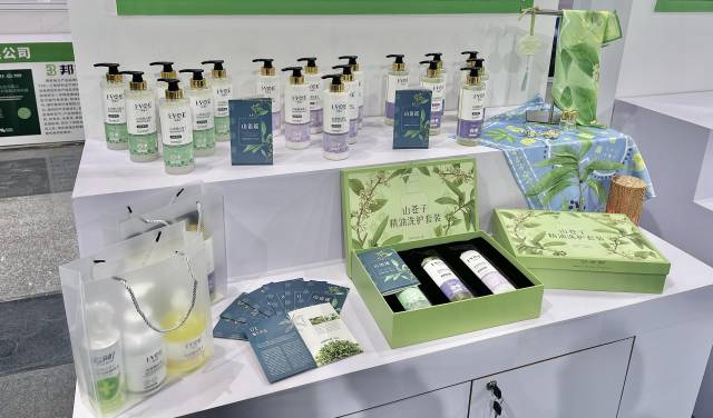 粤北山野“小辛香”如何迈向“大市场”麻将胡了试玩模拟器一颗山苍子的新生：(图2)